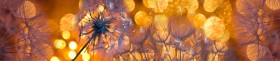 Кухонный фартук Мерцание Одуванчики золотистые 3 серебро в Иланском - ilanskij.katalogmebeli.com | фото