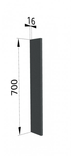 Панель торцевая ПТ 400 Квадро (для шкафа торцевого верхнего) Железо в Иланском - ilanskij.katalogmebeli.com | фото