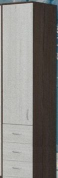 Шкаф-пенал №2 (закрытый) Бодего темный/Винтерберг в Иланском - ilanskij.katalogmebeli.com | фото 1
